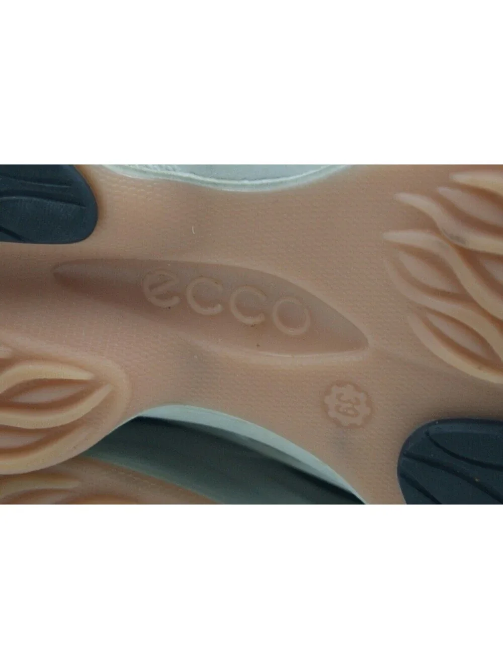 Ecco biom fjuel